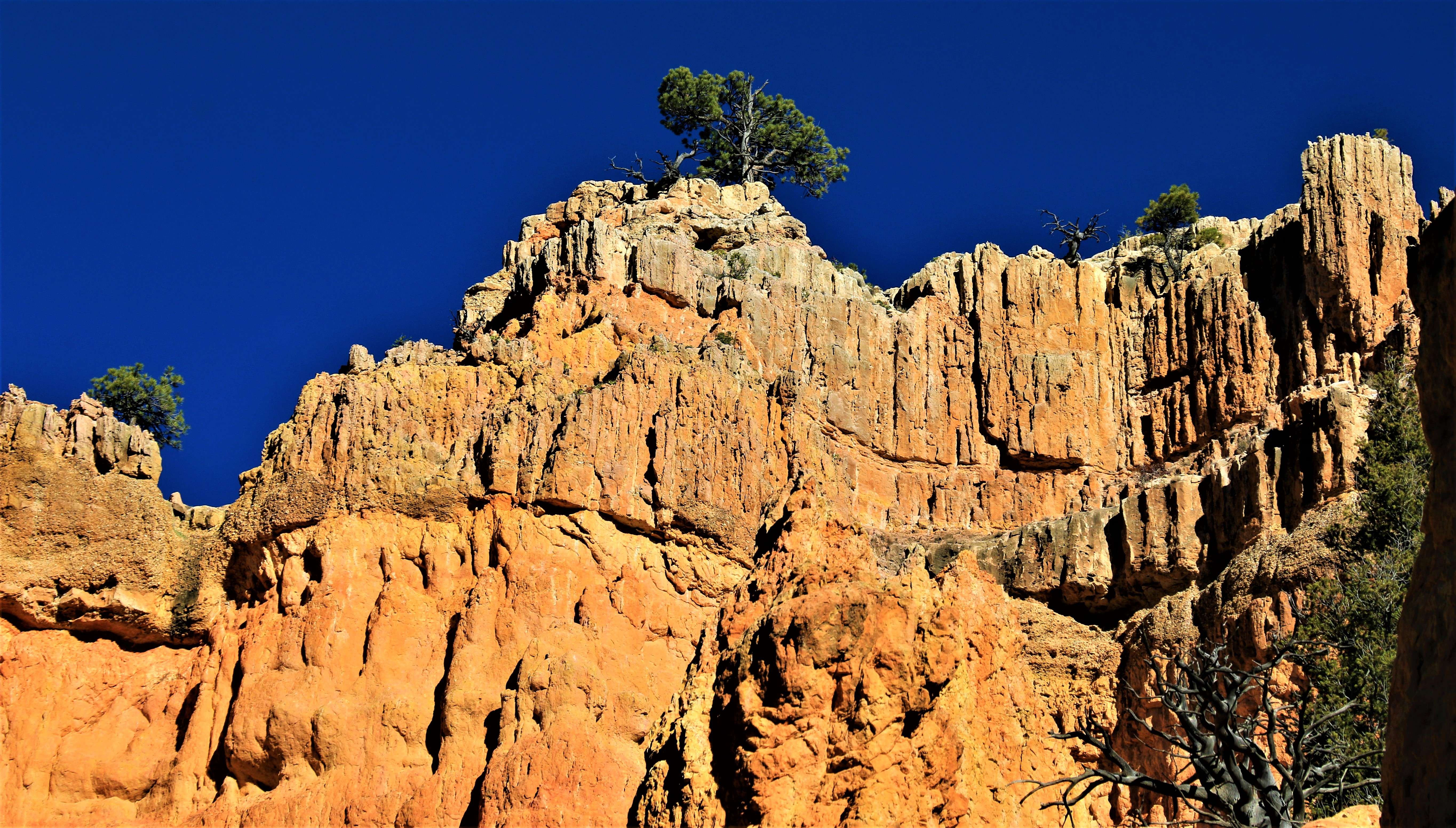 Red Canyon